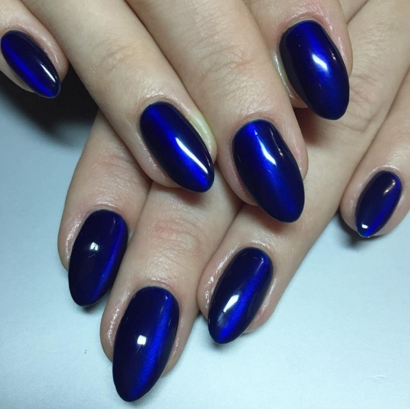 бенгальский кот